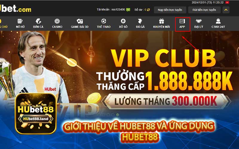 Giới thiệu về Hubet88 và ứng dụng Hubet88